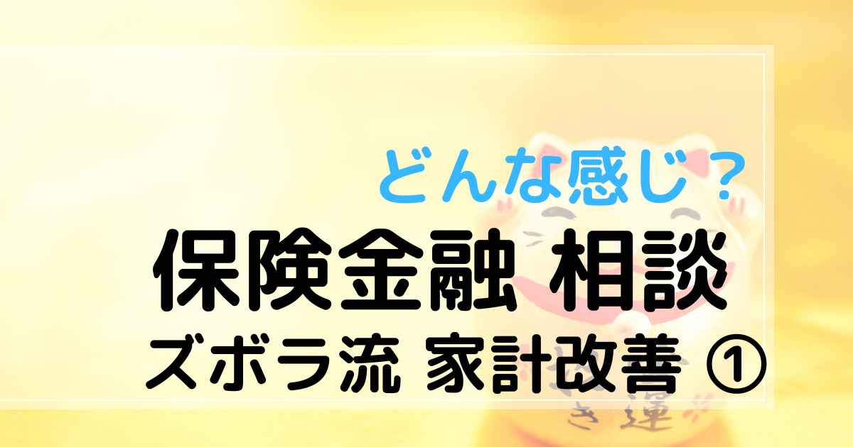 ズボラ流家計改善①　どんな感じ？はじめての保険金融相談　アイキャッチ